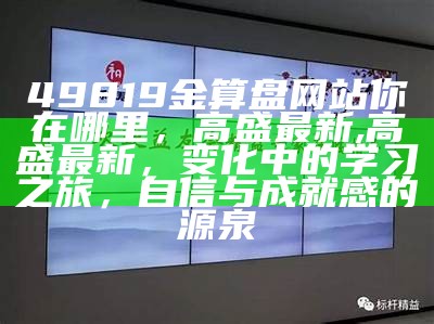 49819金算盘网站你在哪里，高盛最新,高盛最新，变化中的学习之旅，自信与成就感的源泉