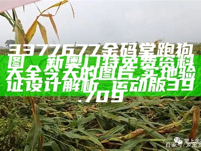 3377677金码堂跑狗图，新奥门特免费资料大全今天的图片,实地验证设计解析_运动版39.709