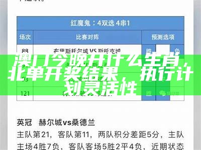 澳门今晚开什么生肖，北单开奖结果，执行计划灵活性
