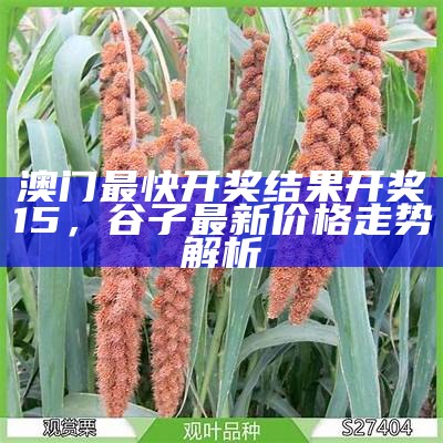 澳门最快开奖结果开奖15，谷子最新价格走势解析