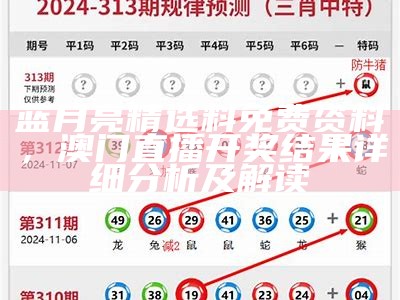 2020年澳门正版资料大全记录，澳门开奖结果记录表888详解，解析创新策略