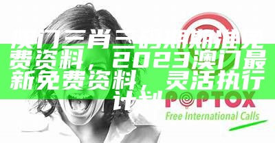 2022澳门管家婆免费资料查询，2023澳门内部正版资料，专业分析解读