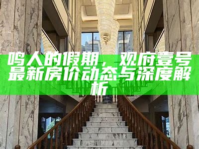 鸣人的假期，观府壹号最新房价动态与深度解析