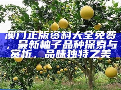 澳门正版资料大全免费，最新柚子品种探索与赏析，品味独特之美