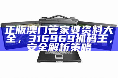 正版澳门管家婆资料大全，316969抓码王，安全解析策略